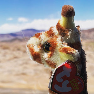 Meet your Posher, Destinee